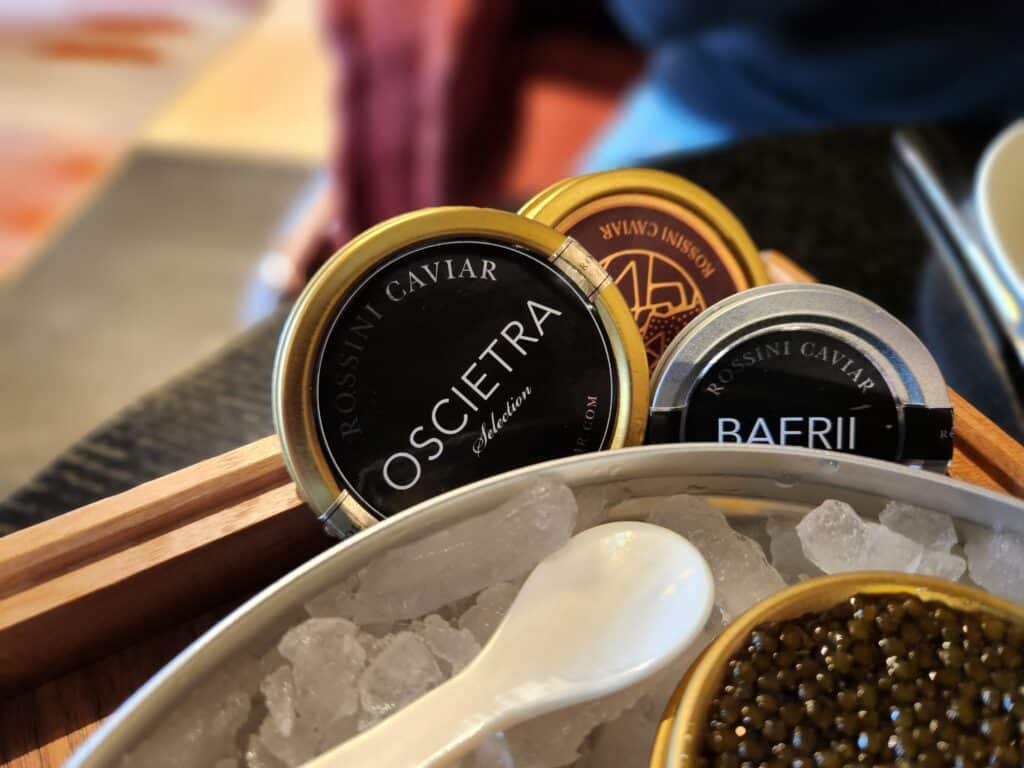 kaviar, ekspedisjonshallen, sommerro